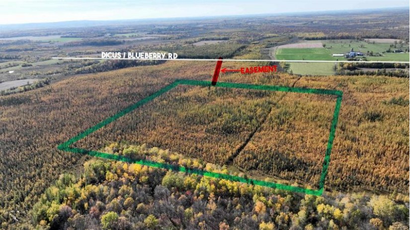 40ACRES MOL Dicus Road Grant, WI 54848 by Cotter Realty Llc $80,000