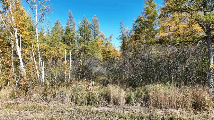 40ACRES MOL Dicus Road Grant, WI 54848 by Cotter Realty Llc $80,000