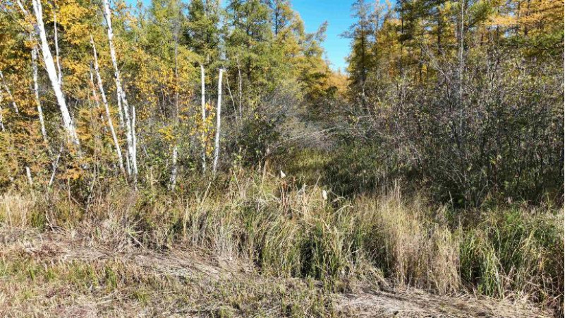 40ACRES MOL Dicus Road Grant, WI 54848 by Cotter Realty Llc $80,000