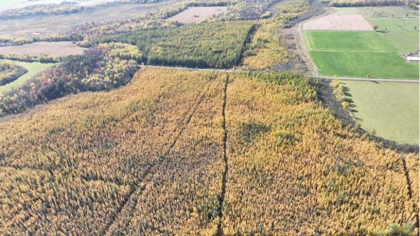 40ACRES MOL Dicus Road Grant, WI 54848 by Cotter Realty Llc $80,000