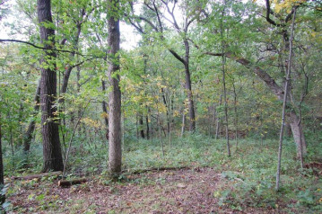 17.63 ACRES Biglow Hill Road, Clyde, WI 53506