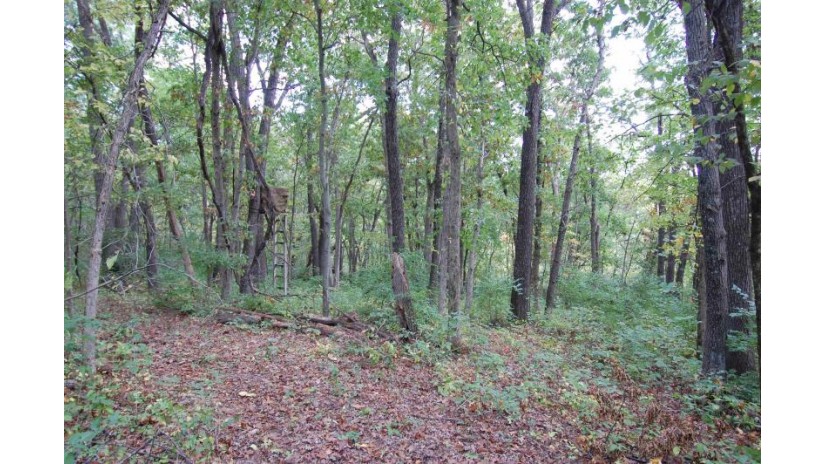 17.63 ACRES Biglow Hill Road Clyde, WI 53506 by Driftless Area Llc - Pref: 608-588-5700 $135,000