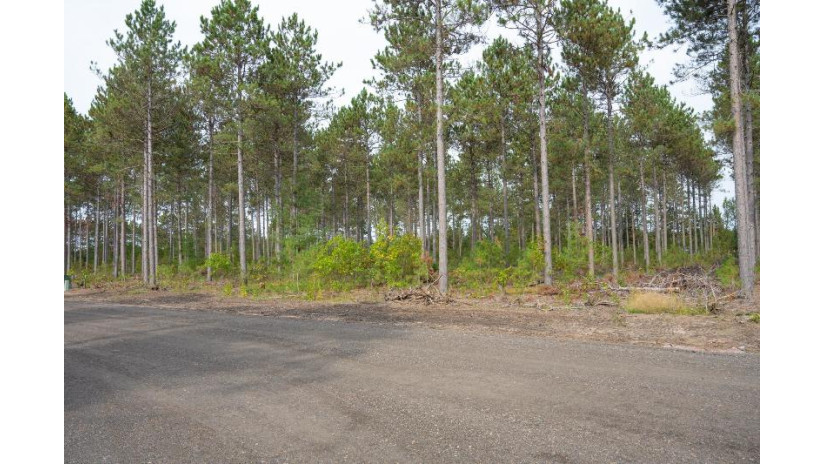 LOT 4 Bollig Court Port Edwards, WI 54457 by Castle Rock Realty Llc - Cell: 608-548-6900 $35,000