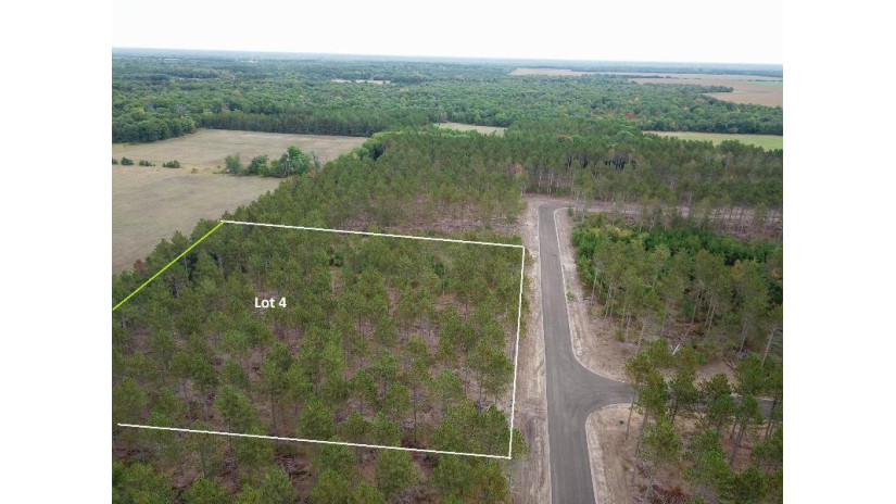 LOT 4 Bollig Court Port Edwards, WI 54457 by Castle Rock Realty Llc - Cell: 608-548-6900 $35,000