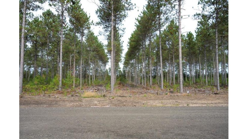 LOT 4 Bollig Court Port Edwards, WI 54457 by Castle Rock Realty Llc - Cell: 608-548-6900 $35,000
