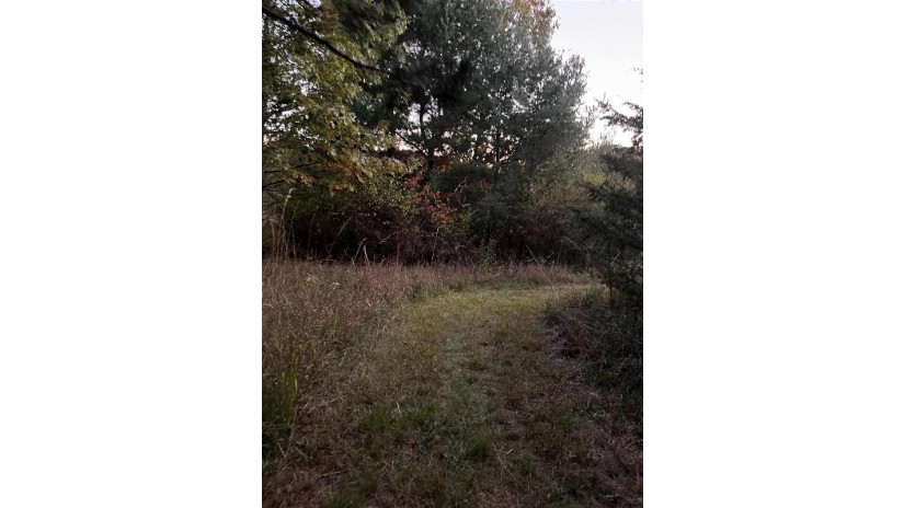 2.52 ACRES County Road F Marion, WI 54982 by Cotter Realty Llc $36,000