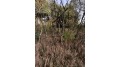 2.52 ACRES County Road F Marion, WI 54982 by Cotter Realty Llc $36,000