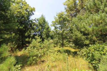 LOT20 Timber Trail, Spring Green, WI 53588