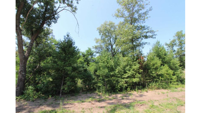 LOT20 Timber Trail Spring Green, WI 53588 by Century 21 Affiliated - Pref: 608-574-2092 $177,600