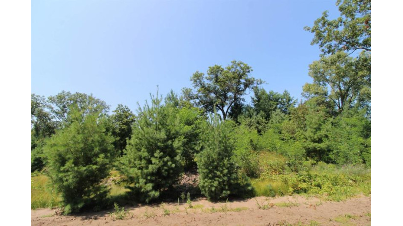 LOT20 Timber Trail Spring Green, WI 53588 by Century 21 Affiliated - Pref: 608-574-2092 $177,600