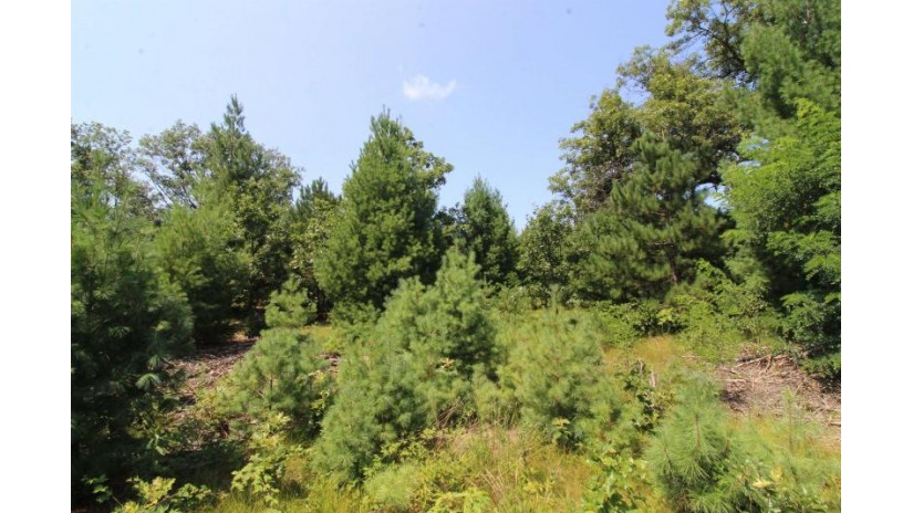 LOT20 Timber Trail Spring Green, WI 53588 by Century 21 Affiliated - Pref: 608-574-2092 $177,600