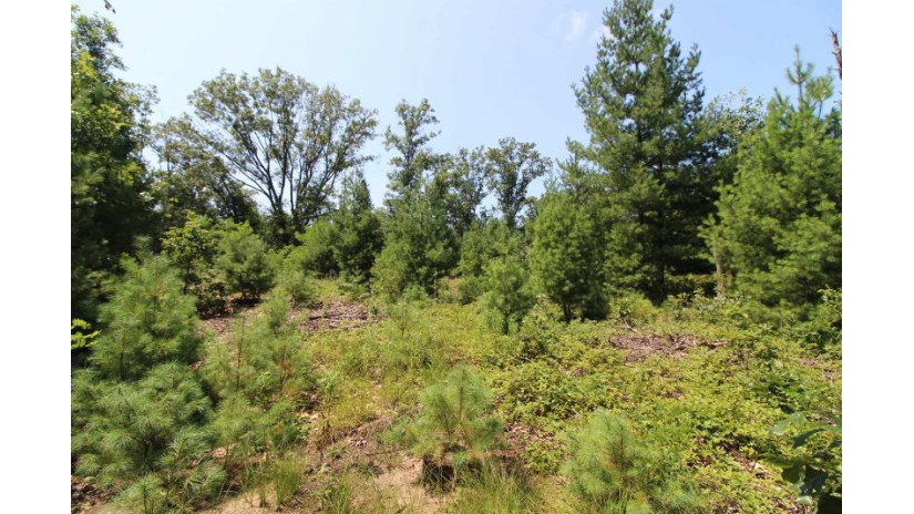 LOT20 Timber Trail Spring Green, WI 53588 by Century 21 Affiliated - Pref: 608-574-2092 $177,600