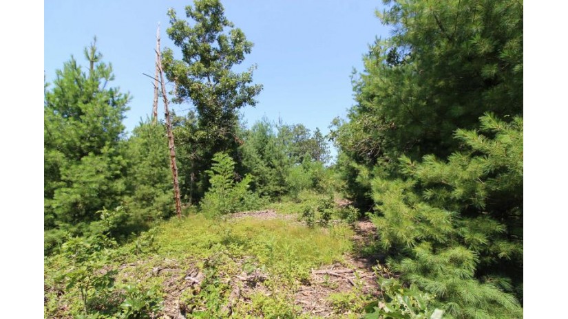 LOT20 Timber Trail Spring Green, WI 53588 by Century 21 Affiliated - Pref: 608-574-2092 $177,600