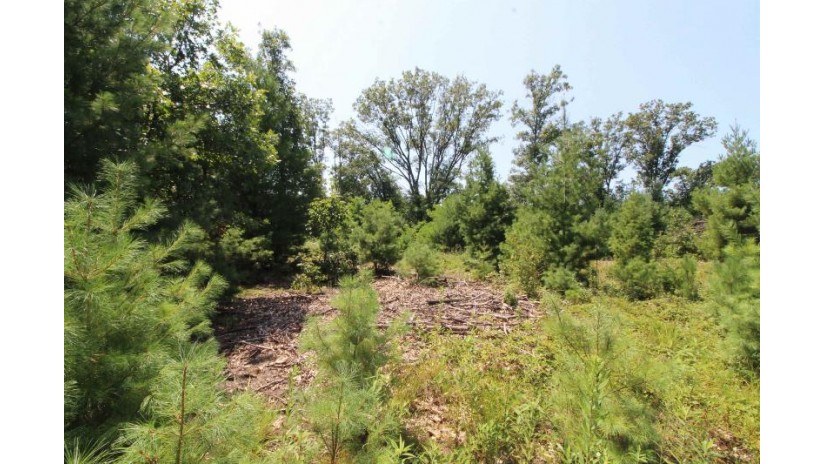 LOT20 Timber Trail Spring Green, WI 53588 by Century 21 Affiliated - Pref: 608-574-2092 $177,600