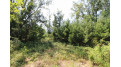 LOT20 Timber Trail Spring Green, WI 53588 by Century 21 Affiliated - Pref: 608-574-2092 $177,600