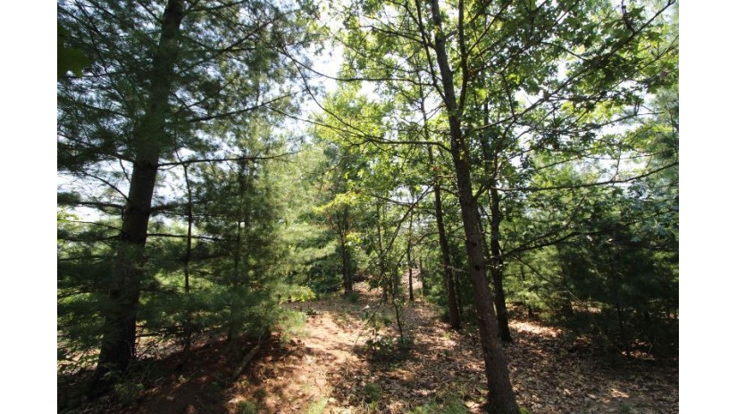 LOT20 Timber Trail Spring Green, WI 53588 by Century 21 Affiliated - Pref: 608-574-2092 $177,600