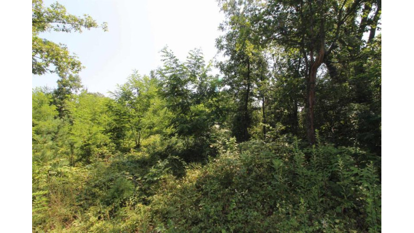 LOT20 Timber Trail Spring Green, WI 53588 by Century 21 Affiliated - Pref: 608-574-2092 $177,600