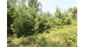 LOT20 Timber Trail Spring Green, WI 53588 by Century 21 Affiliated - Pref: 608-574-2092 $177,600