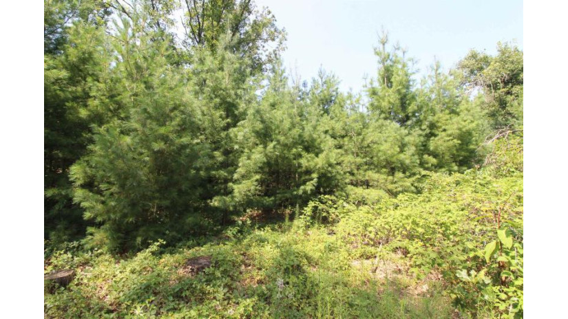 LOT20 Timber Trail Spring Green, WI 53588 by Century 21 Affiliated - Pref: 608-574-2092 $177,600