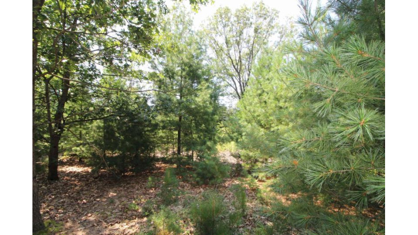 LOT20 Timber Trail Spring Green, WI 53588 by Century 21 Affiliated - Pref: 608-574-2092 $177,600