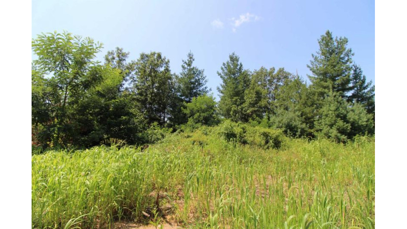 LOT20 Timber Trail Spring Green, WI 53588 by Century 21 Affiliated - Pref: 608-574-2092 $177,600