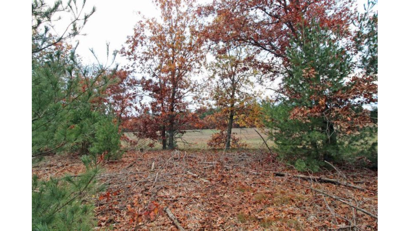 LOT20 Timber Trail Spring Green, WI 53588 by Century 21 Affiliated - Pref: 608-574-2092 $177,600