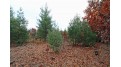 LOT20 Timber Trail Spring Green, WI 53588 by Century 21 Affiliated - Pref: 608-574-2092 $177,600