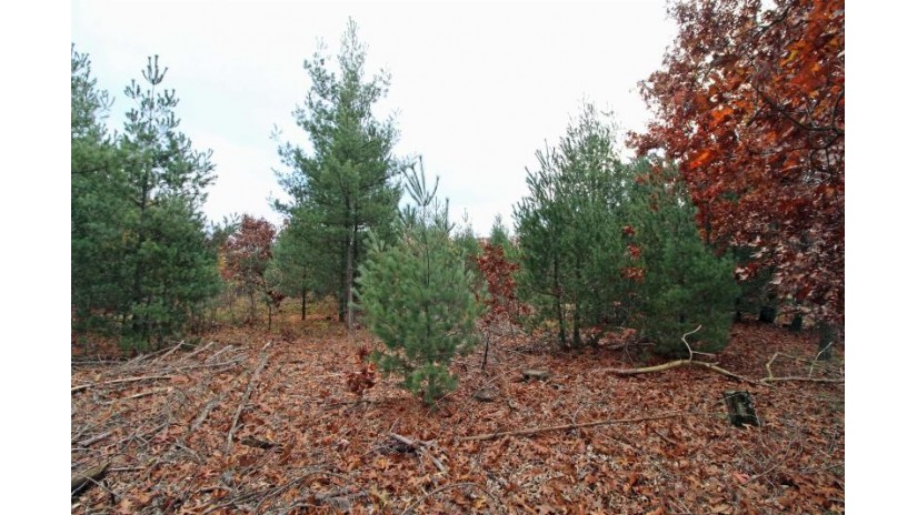 LOT20 Timber Trail Spring Green, WI 53588 by Century 21 Affiliated - Pref: 608-574-2092 $177,600