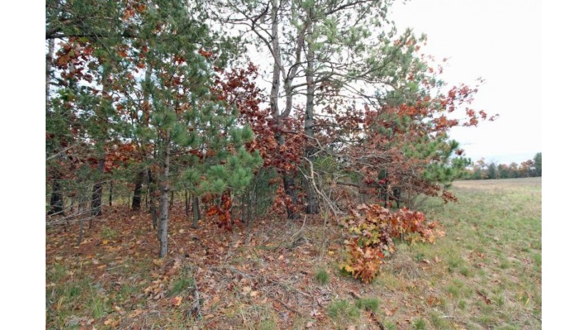 LOT20 Timber Trail Spring Green, WI 53588 by Century 21 Affiliated - Pref: 608-574-2092 $177,600