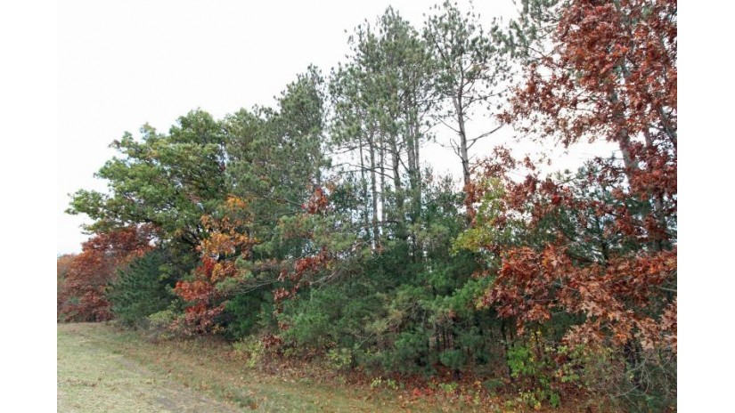 LOT20 Timber Trail Spring Green, WI 53588 by Century 21 Affiliated - Pref: 608-574-2092 $177,600