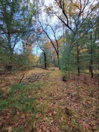 LOT 55 19th Creek, Strongs Prairie, WI 54613