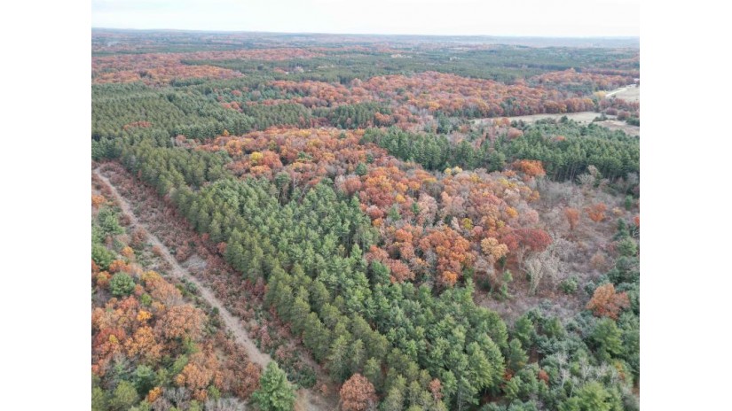 147+/-ACRES Happersett Lane Marion, WI 54970 by United Country Midwest Lifestyle Properties $1,323,000