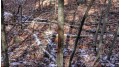 75+/- ACRES Dover Drive Adams, WI 53910 by Whitetail Dreams Real Estate $360,000
