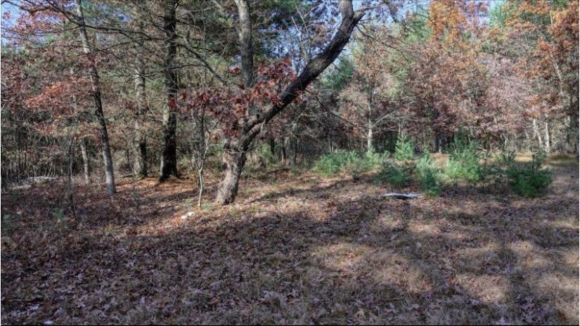 75+/- ACRES Dover Drive Adams, WI 53910 by Whitetail Dreams Real Estate $360,000