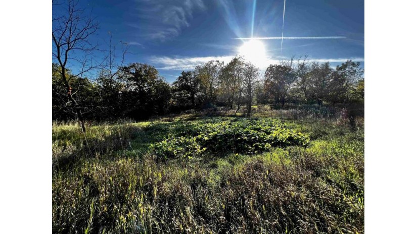 31.5 AC. Highway 39 New Glarus, WI 53574 by First Weber Hedeman Group - Off: 608-325-2000 $599,000