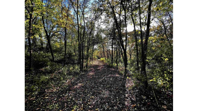 31.5 AC. Highway 39 New Glarus, WI 53574 by First Weber Hedeman Group - Off: 608-325-2000 $599,000