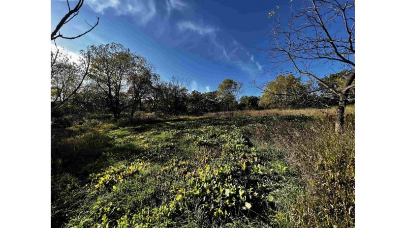 31.5 AC. Highway 39 New Glarus, WI 53574 by First Weber Hedeman Group - Off: 608-325-2000 $599,000