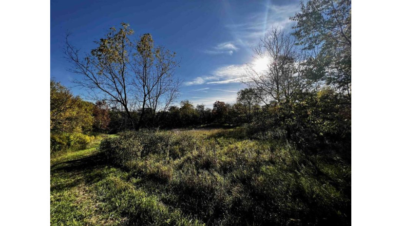 31.5 AC. Highway 39 New Glarus, WI 53574 by First Weber Hedeman Group - Off: 608-325-2000 $599,000