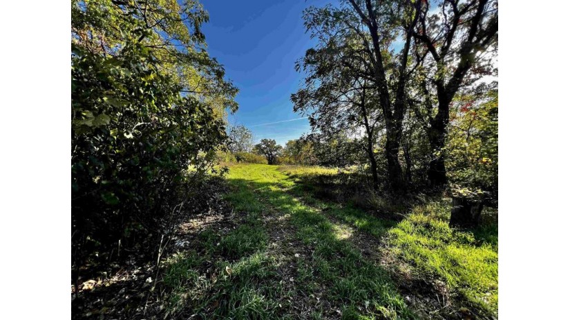 31.5 AC. Highway 39 New Glarus, WI 53574 by First Weber Hedeman Group - Off: 608-325-2000 $599,000