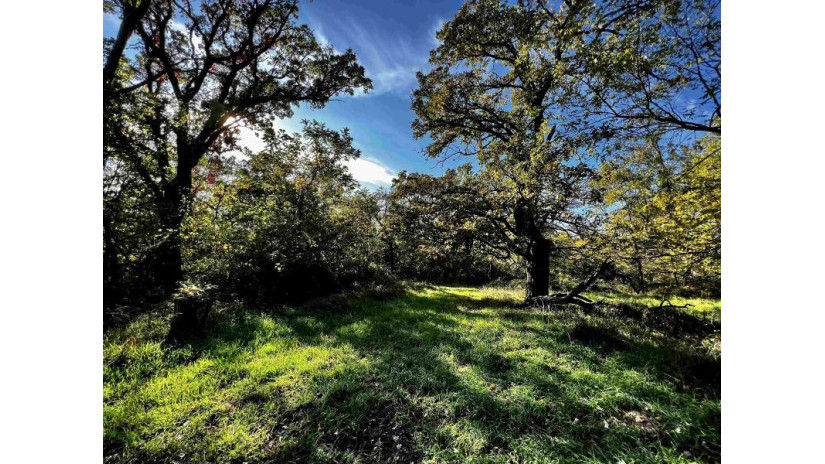 31.5 AC. Highway 39 New Glarus, WI 53574 by First Weber Hedeman Group - Off: 608-325-2000 $599,000