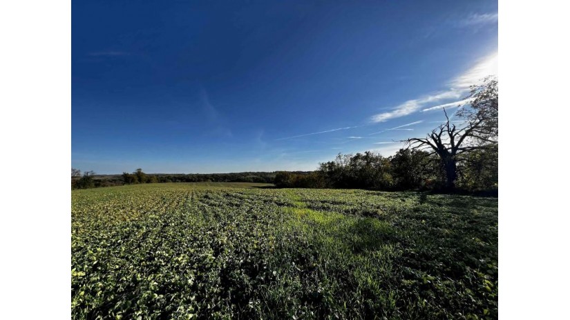 31.5 AC. Highway 39 New Glarus, WI 53574 by First Weber Hedeman Group - Off: 608-325-2000 $599,000