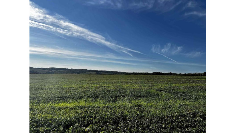 31.5 AC. Highway 39 New Glarus, WI 53574 by First Weber Hedeman Group - Off: 608-325-2000 $599,000