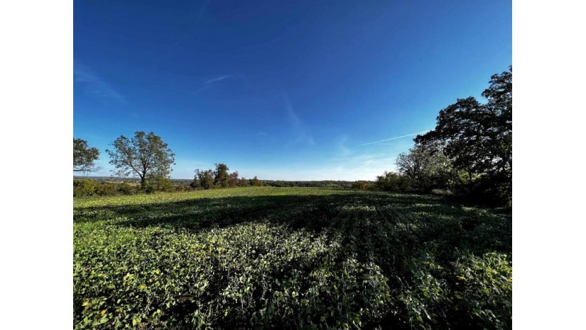 31.5 AC. Highway 39 New Glarus, WI 53574 by First Weber Hedeman Group - Off: 608-325-2000 $599,000