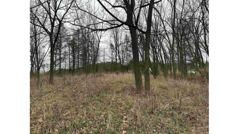 LOT 1 CSM 13252 Ben Franklin Street Springdale, WI 53593 by Bunbury & Assoc, Realtors $145,000