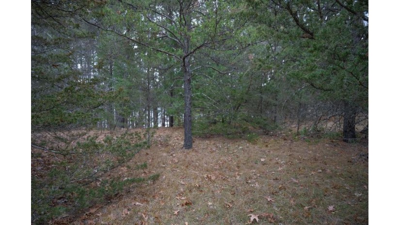 LOT 17 Lake Point Westfield, WI 53964 by Castle Rock Realty Llc - Pref: 773-470-7732 $30,000