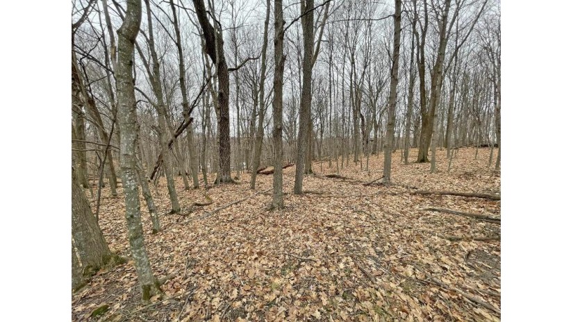 L150 Black Forest Pine Cone Lane Woodland, WI 53941 by Re/Max Preferred - Julie@JulieSells.com $9,000