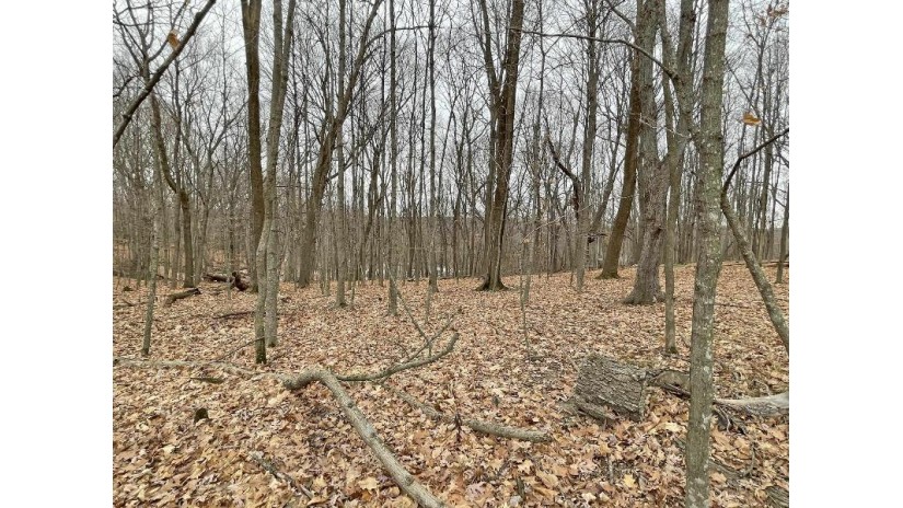 L150 Black Forest Pine Cone Lane Woodland, WI 53941 by Re/Max Preferred - Julie@JulieSells.com $9,000