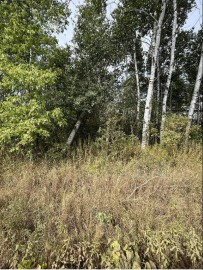 LOT ONE Kraus Street, Day, WI 54449