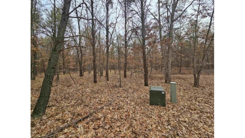 5.41 ACRES Koval Road Lyndon, WI 53944 by Cotter Realty Llc $59,900