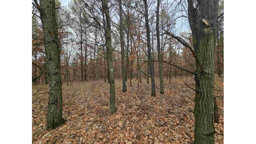 5.41 ACRES Koval Road Lyndon, WI 53944 by Cotter Realty Llc $59,900